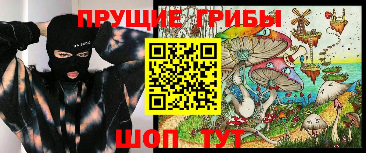 Псилоцибиновые грибы Cubensis Дмитров
