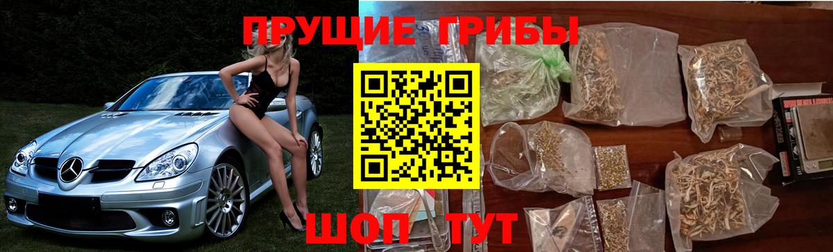 Псилоцибиновые грибы MAGIC MUSHROOMS  Вход с VPN  Дмитров 